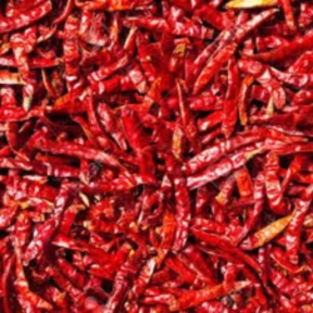 Wholesale Premium Dry Red Chilli – Oman
